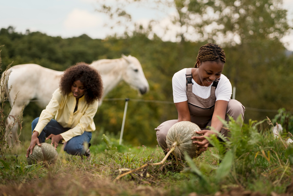 Formation en agriculture durable